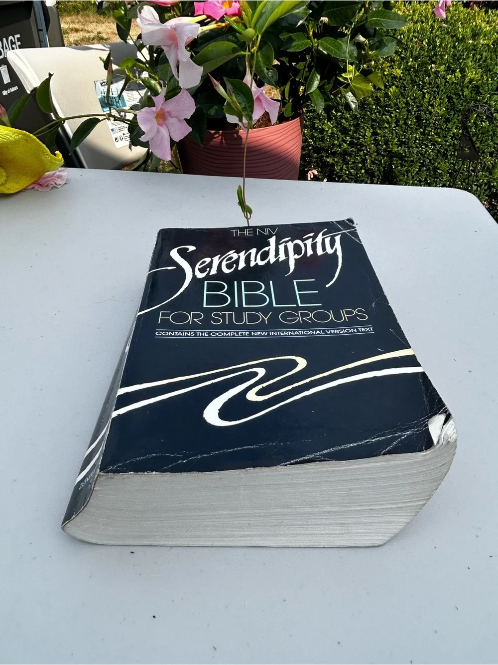 Serendipity Bible for Study Groups - Black